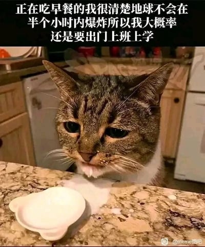 这是一张引发大众情绪共鸣的搞笑梗图，画面主体是一只狸花白猫，它趴在厨房的大理石台面上，面前的早餐小碟子已经空了，猫咪眼神低落、神情沮丧，眼角似乎带点湿润，看起来十分不情愿。图片上方配有一段自嘲式的文字：“正在吃早餐的我很清楚地球不会在半个小时内爆炸所以我大概率还是要出门上班上学”，将猫咪的沮丧神态和人们不想上班上学的内心活动结合起来，用一种幽默又无奈的方式，精准表达了当代打工人、学生党在早晨面对要出门工作或上学时的抗拒与低落，明明满心不想出门，却又不得不接受没有任何“正当”理由可以逃避的现实，戳中了很多人日常的情绪痛点。