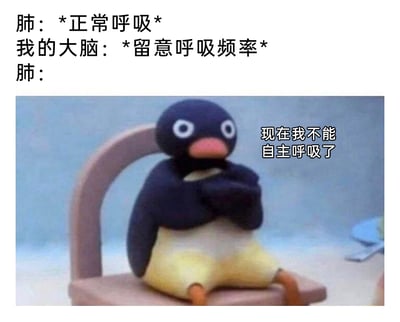 这是一张图文结合的搞笑表情包，采用拟人化的手法呈现了一个很多人都经历过的奇妙小体验：上方文字模拟身体器官的互动，先是肺在正常呼吸，随后大脑发出“留意呼吸频率”的指令，下方配图是瑞士定格动画《企鹅家族》里的角色企鹅Pingu，它坐在椅子上，双手抱胸，眼神慌乱，旁边配文“现在我不能自主呼吸了”，精准地表现出当人们刻意关注呼吸时，会突然失去自然呼吸的感觉这种无厘头的小困扰，用夸张的拟人化方式制造出幽默的效果，很容易让观者产生共鸣。