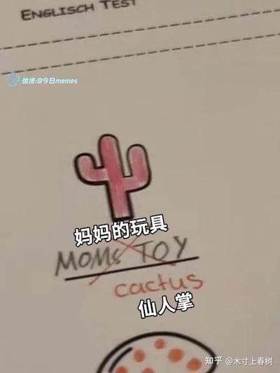这是一张英语测试试卷的扫描图，图中绘制了一个粉色的仙人掌，学生最初将其英文写成了“MOM'S TOY”（妈妈的玩具），之后被划掉改成了正确的“cactus”（仙人掌）。图中还添加了中文标注“妈妈的玩具”和“仙人掌”，因为仙人掌的外形被孩子误解成了成人用品，形成了童言无忌的搞笑反差效果，充满趣味。