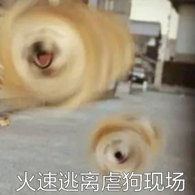 这是一张文字加注的静态表情素材图，画面中两只浅棕色的狗狗因为快速奔跑，身体和脸部都变得模糊，呈现出类似旋转的视觉效果，仿佛在飞速逃离某个场景。图片下方配有文字“火速逃离虐狗现场”，其中“虐狗”是网络流行语，指代情侣之间秀恩爱的行为，单身群体看到这类场景会感觉受到“伤害”，这张图用狗狗奔跑逃离的形象，生动地表现出单身人士想要避开情侣秀恩爱场景的急切心情，常用于社交媒体聊天中表达这种情绪。