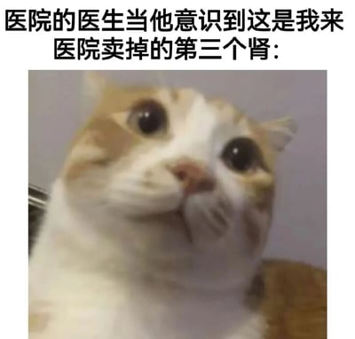 这张梗图上方有文字："医院的医生当他意识到这是我来医院卖掉的第三个肾："，下方是一只表情极度震惊的猫，瞪大眼睛直视前方。图片通过夸张的幽默手法，暗示某人频繁卖肾的荒诞情景，用猫咪震惊的表情来表现医生的反应。