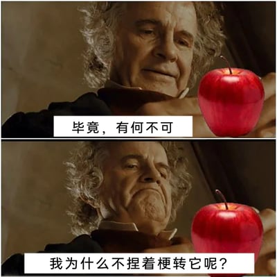 这是一张上下分栏的搞笑改编表情包，取材自《指环王》系列电影中比尔博·巴金斯的影视截图，创作者将角色手中的原物品替换为红苹果，并为上下两部分分别配上台词。上半部分比尔博表情温和，配文“毕竟，有何不可”，呈现出一种随性的心态；下半部分他突然做出搞怪的撇嘴表情，配文“我为什么不捏着梗转它呢？”，通过前后表情和台词的反差，制造出无厘头的搞笑效果，用来表达突然冒出的脑回路清奇的搞怪想法，适合在聊天中活跃气氛，传递随性又古怪的情绪。
