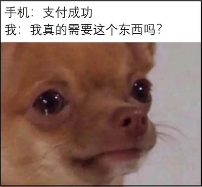 这是一张幽默表达购物后懊悔情绪的梗图。图片上方有两行文字："手机：支付成功"和"我：我真的需要这个东西吗？"，下方是一只眼睛含泪的棕色小狗特写，表情悲伤又无奈，完美诠释了人们在冲动消费后产生的后悔心理。