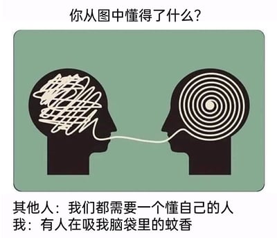 这是一张充满反差感的搞笑meme图文，顶部以问题“你从图中懂得了什么？”引导观看者思考。中间的核心插画是两个相对的黑色人头剪影：左侧人头内部是交错杂乱的线条，代表着混乱、理不清的思绪；右侧人头内部是类似蚊香的螺旋状线条，一条线条从左侧人头延伸至右侧人头，原本的设计寓意是希望有人能接收并梳理自己的混乱思绪，即懂自己的人能理解并消化自己的复杂情绪。而下方的文字则呈现了两种完全不同的解读：其他人给出了符合插画寓意的温情向解读“我们都需要一个懂自己的人”，而“我”则跳出常规思路，用无厘头的脑洞将右侧的螺旋线条联想成蚊香，把连接的线条看成吸蚊香的通道，给出了“有人在吸我脑袋里的蚊香”的搞笑解读，通过这种打破常规的反差感，制造出强烈的幽默效果，让原本温情的人际沟通主题变得滑稽有趣。