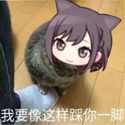 这是一张创意合成梗图，画面主体是一只真实的猫，但头部被替换成了动漫风格的女孩头像。女孩有着棕色短发、猫耳和大大的紫色眼睛，表情可爱俏皮，正抬头向上看。图片底部有一行文字：“我要像这样踩你一脚”，形成一种反差萌的搞笑效果。