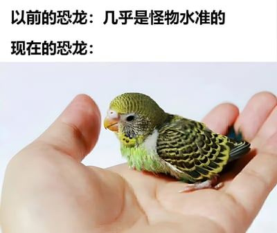图片上半部分用黑色文字写着“以前的恐龙：几乎是怪物水准的 现在的恐龙：”，下半部分是一只色彩鲜艳的虎皮鹦鹉被人类手掌轻轻托住的照片。通过幽默对比，将史前庞大的恐龙形象与现代小巧可爱的鸟类（科学上鸟类是恐龙后代）联系起来，制造出强烈的反差萌效果。