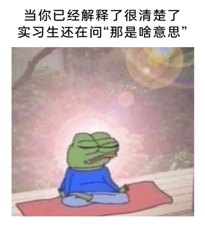 这是一张贴合职场场景的表情包，上方配有文字“当你已经解释了很清楚了 实习生还在问‘那是啥意思’”，下方是经典卡通形象悲伤蛙Pepe：它盘腿坐在红色垫子上，闭着双眼、嘴角耷拉，嘴里叼着类似香烟的物品，摆出冥想的姿势，看起来正强压着内心的烦躁，通过自我调节来面对重复解释的疲惫。这张图精准还原了职场中前辈带教实习生时，多次清晰解释后仍被追问的无奈情绪，用幽默的方式调侃了职场带教里的常见窘境。