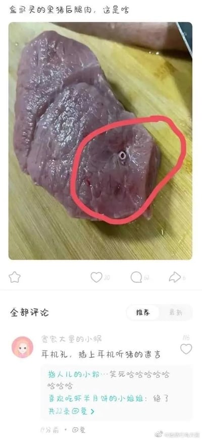 这是一张竖屏的社交媒体截图，分为上下两部分：上半部分是一块放置在木质砧板上的黑猪后腿肉，肉的右侧有一个被红圈标注出来的孔洞，形状酷似耳机插孔，上方配文“盒马买的黑猪后腿肉，这是啥”，表达了用户的疑惑；下半部分是评论区，用户“宽宏大量的小蜗”的高赞评论“耳机孔，插上耳机听猪的遗言”脑洞大开，将巧合的孔洞调侃成耳机孔，引发其他网友的爆笑回复，如“笑死哈哈哈哈哈哈哈”“绝了”，整体内容充满趣味性，用无厘头的联想制造出搞笑效果。