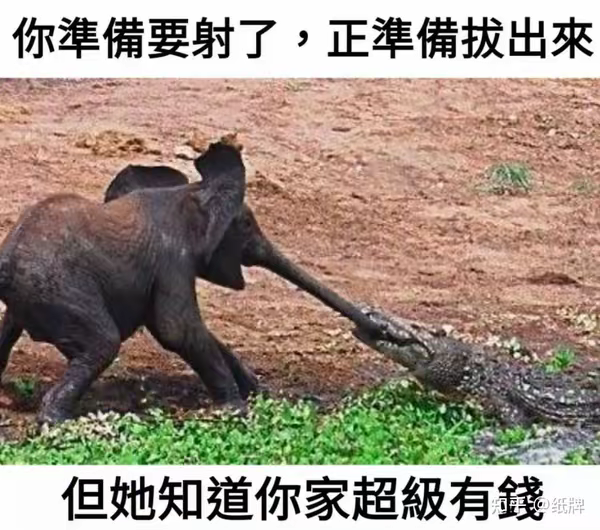 小象