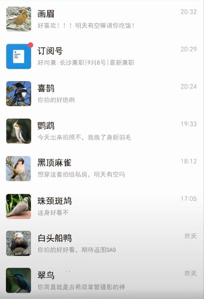 这张图片模拟微信聊天列表界面，将画眉、喜鹊、鹦鹉、黑顶麻雀等多种真实鸟类设置为聊天联系人，每个鸟类都发送了拟人化的消息：画眉约吃饭，喜鹊夸赞拍照技术，鹦鹉约拍新羽毛，黑顶麻雀约拍私房照，珠颈斑鸠询问穿搭好看与否，白头船鸭期待返图，翠鸟夸赞摄影师为“古希腊掌管摄影的神”，还有一条标注长沙兼职的订阅号消息。整体以摄影师的视角，将鸟类拟人化，构建出充满脑洞的趣味社交场景，调侃摄影从业者的日常互动。