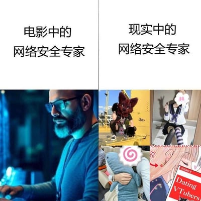 图片通过左右对比的方式，幽默展现电影与现实中网络安全专家的形象反差。左侧「电影中的网络安全专家」配图为一位戴眼镜、蓄络腮胡的男性，身处深蓝光影的科技感场景中，神情严肃专注地注视电脑屏幕，呈现出影视剧中常见的酷炫专业形象；右侧「现实中的网络安全专家」则由多张图片拼接而成，包含穿着狼形兽装蹲坐的人、戴粉色花朵面具比耶的校服女生、怀抱鲨鱼玩偶的人以及动漫风格的甜美角色，体现出现实中从业者多元、活泼的真实状态。