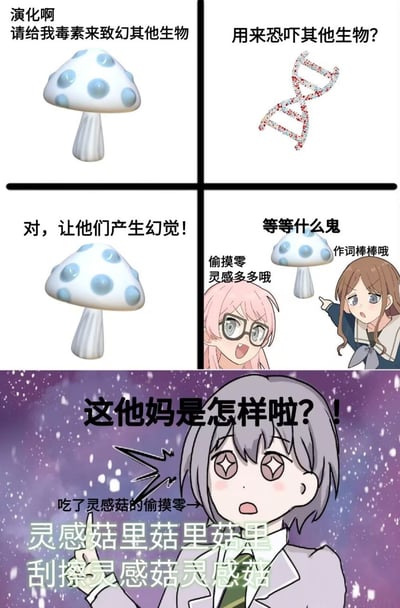 本梗图分为四格科普+二次元槽点对话，展示了蘑菇通过进化获得致幻能力，但被网友戏称为“灵感菇”，并配合二次元角色表情包进行强行联想输出。第四格及下方大图段落使用谐音和胡言乱语作为搞笑点，如“灵感菇里菇里灵感”。整体主打无厘头搞笑、网络热词、拟人化吐槽氛围，内容夹杂了科普、幻想与二次元群像。

其中，“灵感菇”是一种基于现实致幻蘑菇的二次创造形象。“灵感菇里菇里灵感”具有明显谐音与重复、魔怔感，强化了致幻后语无伦次的梗意，非常适合玩梗化表达迷惑或脑洞大开的场景。