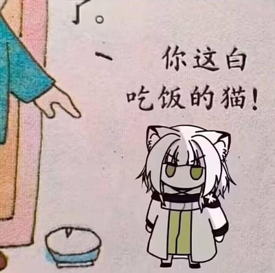 画面中左侧有一个人物的局部形象，可见其穿着粉色和蓝色的衣物，伸出手指向右侧。右侧是一只白色的卡通猫，有着长长的毛发、猫耳朵，穿着白色外套和绿色内搭，表情略显冷淡地站立着。猫的左下方有一个空的碗。人物指向猫的同时，上方配有文字“你这白吃饭的猫！”，整体风格为手绘卡通，充满日常吐槽的幽默感。