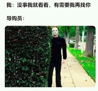 图片上方文字为“我：没事我就看看，有需要我再找你”，下方标注“导购员：”并配有一张电影截图。截图中是《月光光心慌慌》里的经典角色迈克尔·迈尔斯，他戴着白色面具、身穿黑色衣服，正躲在路边的灌木丛后，只露出上半身暗中观察。通过将恐怖电影角色与导购员形象结合，幽默夸张地表现了部分导购员在顾客表示“随便看看”后仍暗中关注的场景，带有调侃和搞笑的意味。