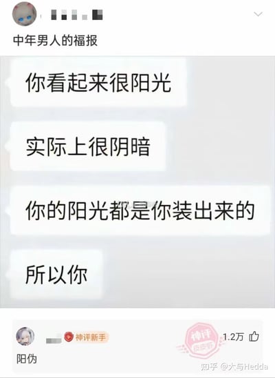 这是一张社交媒体聊天记录截图，标题为“中年男人的福报”。截图中显示了一组对话气泡，内容依次为“你看起来很阳光”“实际上很阴暗”“你的阳光都是你装出来的”“所以你”，形成对外表与内心反差的调侃。下方有一条用户“阳伪”的评论，带有“神评新手”标识和1.2万点赞量。右下角可见“知乎@大与Hedda”的水印。图片通过“阳伪”（谐音“虚伪”）的评论制造幽默效果，讽刺表面阳光实则阴暗的现象。