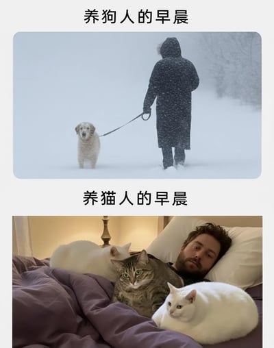 这张图采用上下拼接的对比形式，展现了养狗和养猫截然不同的早晨日常：上半部分标注“养狗人的早晨”，画面呈现暴雪天气里，穿着厚重带帽长外套的人，牵着浑身沾满积雪的狗，在齐脚深的雪地中艰难行走，凸显出养狗人无论恶劣天气都要出门遛狗的辛苦；下半部分标注“养猫人的早晨”，画面里一名睡眼惺忪的男子躺在床上，三只猫咪围绕在他的身上和身边，氛围慵懒又温馨，体现出养猫人早晨无需出门，能和猫咪一同赖床的轻松状态，通过强烈的场景反差，调侃了两种养宠方式的不同生活体验。