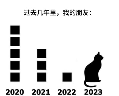这是一张自嘲风格的静态梗图，顶部配有文字“过去几年里，我的朋友：”，下方以年份为轴展示朋友数量的变化：2020年用5个黑色方块代表拥有5位朋友；2021年方块数量减少至3个；2022年仅剩下1个方块；到2023年则替换为一只坐立姿态的猫咪剪影，利用“猫”与“没”的谐音，巧妙表达“没朋友”的状态，用幽默直观的方式展现了随着时间推移社交圈逐渐缩小的现状，引发当代人社交减少的共鸣。