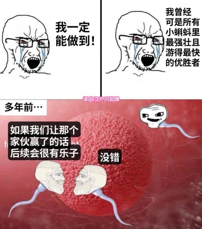 这是一张三格对比梗图，通过夸张的自嘲方式展现人生落差。上两格是经典的哭泣 Wojak 表情包，左侧配文“我一定能做到！”，右侧则写“我曾经可是所有小蝌蚪里最强壮且游得最快的优胜者”，用成为受精卵的“优胜者”身份与当下可能的失意形成幽默对比。

底部红色背景格描绘了精子竞争场景，两个带胡子的精子对话“如果我们让那个家伙赢了的话后续会很有乐子”“没错”，暗示主角现在的人生可能并不如当初其他精子预期的那样成功，形成强烈的反差萌笑点。