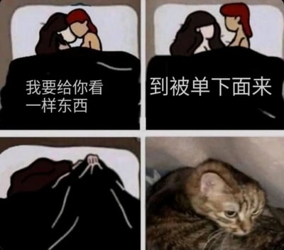 四格连环图，前两格为卡通风格：第一格中黑发与红发人物依偎在床上，配文“我要给你看一样东西”；第二格两人对视，配文“到被单下面来”。第三格卡通人物手掀被单，第四格突然转为真实照片，显示一只虎斑猫卧于被单下，表情平静。通过卡通与真实照片的反差制造搞笑反转效果，原本可能的暧昧场景意外变成猫咪惊喜。