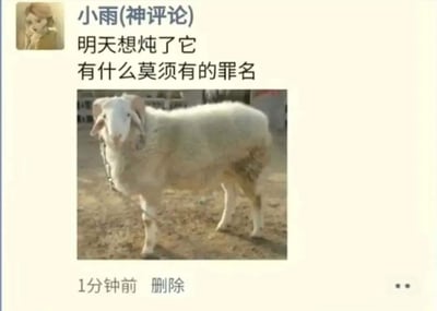 图片为社交媒体截图，显示用户“小雨(神评论)”发布的内容。上方有用户头像（卡通风格人物）及用户名，正文文字为“明天想炖了它 有什么莫须有的罪名”。中间是一张实拍照片，内容为一只白色绵羊，长有弯曲的羊角，被绳子拴着，站在泥土地面上，背景模糊可见建筑物。底部显示“1分钟前 删除”字样，暗示该内容发布后不久被删除。图片通过将“莫须有”这一历史典故（原指无中生有的罪名）用于调侃想炖羊找借口的场景，形成幽默反差效果。