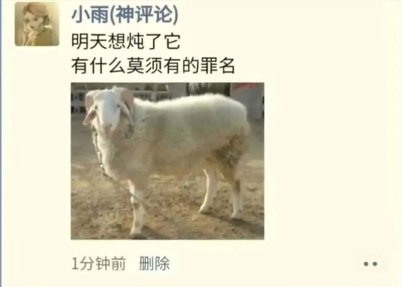 绵羊