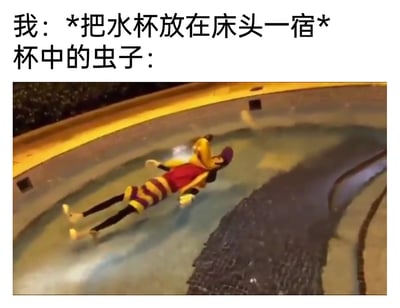 这是一张图文结合的搞笑梗图，上方文字分为两部分，第一部分描述了“把水杯放在床头一宿”的日常场景，第二部分引出“杯中的虫子”的状态。下方配图是迪士尼角色高飞的玩偶惬意地漂浮在类似泳池的浅水区中，四肢放松舒展，呈现出享受、躺平的姿态。这张图用夸张的脑洞将床头的水杯比作虫子的“泳池”，调侃了水杯忘记盖好放在床头后容易进入虫子，而虫子在水杯里仿佛拥有了舒适的“度假场所”，通过这种反差感制造出搞笑的效果，贴近生活细节，容易引发共鸣。