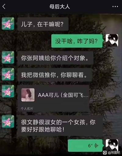 这是一张竖屏的微信聊天记录静态截图，对话双方是备注为“母后大人”的母亲和儿子。母亲先是询问儿子在做什么，接着告知儿子张阿姨给他介绍了对象，要把对方微信推给他让他聊聊，还发送了名为“AAA可儿（全国可飞...”的微信个人名片，同时描述对方是“很文静很淑女的一个女孩”，让儿子好好聊。儿子先回复“没干啥，咋了妈？”，最后发送了一条6秒的语音。名片的昵称风格明显偏向于上门服务类的营销号，和母亲描述的“文静淑女”形成强烈的反差，制造出荒诞搞笑的效果。