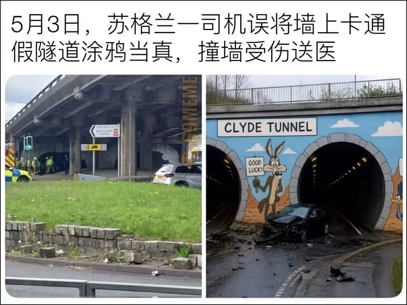 《乐一通》（兔八哥系列动画）