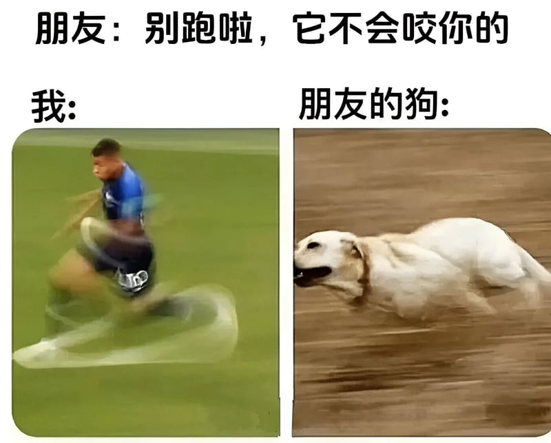 狗