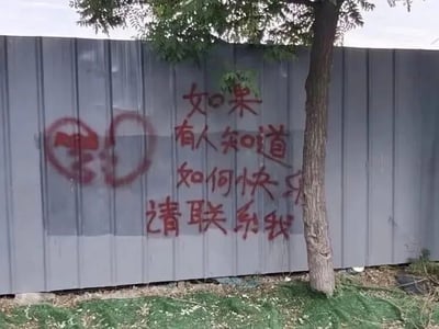 暂无描述