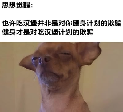 这张梗图上方有文字"思想觉醒：也许吃汉堡并非是对你健身计划的欺骗 健身才是对吃汉堡计划的欺骗"，下方是一只表情若有所思的吉娃娃小狗照片。图片通过反转逻辑制造幽默效果，将常见的"健身时吃汉堡是欺骗计划"的观念颠倒过来，暗示吃汉堡才是真正的优先事项，而健身反而干扰了吃汉堡的计划。