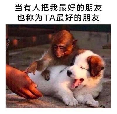 这是一张精准戳中友情小情绪的搞笑表情包，顶部配文“当有人把我最好的朋友也称为TA最好的朋友”，图中一只猴子一脸警惕地趴在正张嘴打哈欠、神态放松的小狗身上，伸手阻挡旁边试图靠近小狗的人手，生动形象地还原了当自己认定的专属好友被别人“认领”时，那种带有占有欲、想要维护专属友情的吃醋又护着好友的心情，用真实的动物互动场景来表现人的情绪，既搞笑又十分贴切，容易引发共鸣。