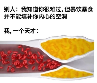 这是一张幽默梗图，通过对比别人的常规安慰与自己的
