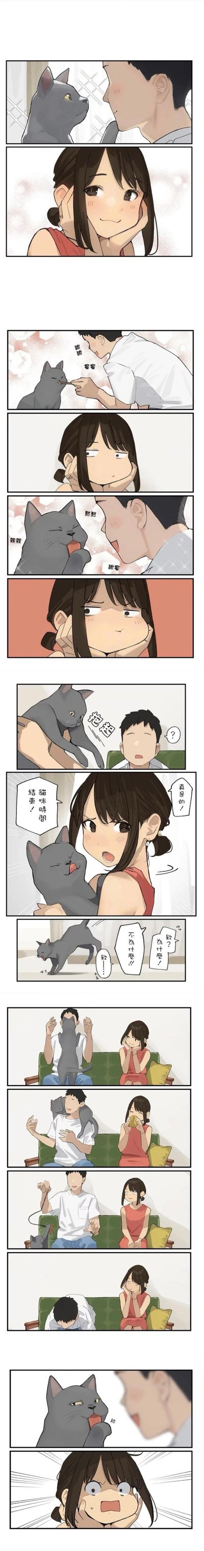 这是一组竖版连环漫画，描绘了女孩、男生与一只灰猫的温馨日常互动。漫画通过多个分镜展现了三人之间的趣味瞬间：灰猫时而发出叫声引起注意，时而在两人间走动，女孩和男生则围绕猫咪展开对话与互动，表情丰富，氛围轻松治愈。画面中包含日语对话气泡，增强了场景的生动性，整体呈现出生活化的温馨场景。