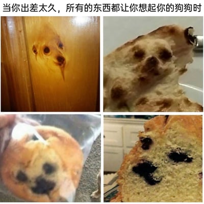 这是一张四格拼接的趣味梗图，顶部配文‘当你出差太久，所有的东西都让你想起你的狗狗时’。左上是木门的天然纹理巧合形成了类似狗狗的面部；右上是被食用了一部分的披萨，其表面的配料分布与凹陷组合出狗狗的脸；左下是装在包装袋里的面包，表面的深色斑点构成了狗狗的面部轮廓；右下是切开的面包，内部的深色馅料恰好形成了狗狗的眼睛和鼻子。整张图利用生活中偶然出现的视觉错觉，生动地表现出长期出差在外的人对自家宠物狗狗的强烈思念，以至于看任何物品都能联想到狗狗的心情，充满共鸣感和趣味性。