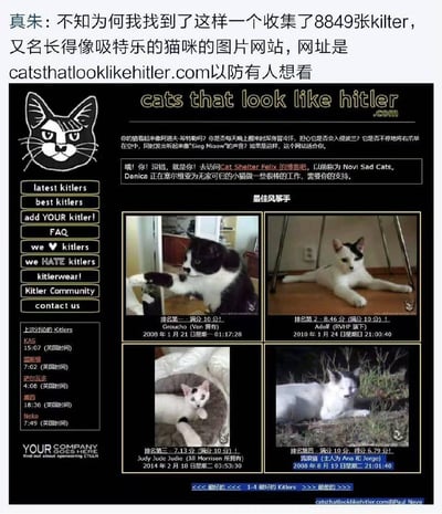 这是一张图文混排的内容图，上方是网友“真朱”的中文介绍，称发现了一个收集了8849张被称为“Kitler”（谐音Hitler，调侃长得像希特勒的猫咪）的图片网站，网址为catsthatlooklikehitler.com；下方是该网站的截图，网站以恶搞的方式，将面部毛色分布类似希特勒的猫咪称为“Kitler”，设置了猫咪排名评分系统，展示了不同用户投稿的猫咪，如排名第一满分的Groucho、排名第二的Adolf等，网站文案也充满恶搞趣味，比如调侃猫咪“入侵波兰”“举爪致敬”的搞笑描述，还附带了救助猫咪的相关链接，整体是充满猎奇感的趣味恶搞内容。
其中“Kitler”是“Hitler”的谐音梗，用猫咪的毛色来玩名人的恶搞梗，属于无恶意的趣味调侃。