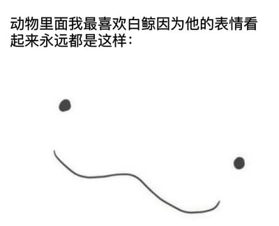 图片上方有一行文字：'动物里面我最喜欢白鲸因为他的表情看起来永远都是这样：'，下方是一幅极简的涂鸦，由一条弯曲的线条和两个黑色圆点组成，模拟白鲸标志性的表情，整体风格轻松幽默，通过简洁的图文结合表达对白鲸表情的喜爱。