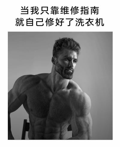 这是一张图文结合的搞笑梗图，上方配有文字“当我只靠维修指南就自己修好了洗衣机”，下方是一张黑白的健身男性照片，该男性有着浓密的胡须，神态沉稳自信，健硕的肌肉线条和强壮的体态传递出强烈的力量感。作品通过将独立完成洗衣机维修这件生活小事，与极具男性力量感的形象结合，用夸张的反差效果，把完成小事后产生的自我认同感和成就感放大，调侃了日常中这类微小成功带来的爆棚心理满足感，十分贴合普通人完成DIY小事后的心情。