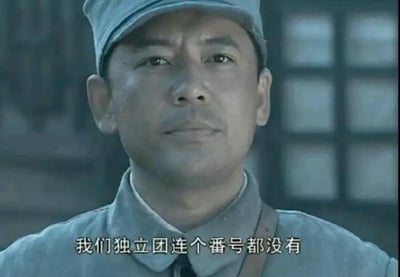 这是一张国产经典抗战剧《亮剑》的剧照截图，画面中是由何政军饰演的八路军独立团政委赵刚，他身着八路军制式军装，头戴军帽，表情凝重且带着一丝不甘，目光正视前方。画面下方配有白色字幕：“我们独立团连个番号都没有”，这句台词对应剧中独立团被取消番号、处境艰难的剧情，传递出角色当时的愤懑与无奈，也能被用来引申表达“没有正式身份、处境尴尬”的情绪。