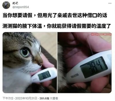 这张梗图结合了社交平台的吐槽评论和两张照片，幽默地传达了当职场人用完请假借口（如亲戚去世）后，可以通过测猫的腋下体温（38.4℃，明显偏高）来伪装自己发烧，好顺利请假。猫咪的无辜表情和体温计显示的高温，既搞笑又讽刺了社畜请假难的现实。图片借“猫体温”实现双关，暗示实际为造假，高温请假理由也属于编造。

双关与暗示：猫的体温天然偏高，通过猫的体温“获得假条”，暗讽职场内卷和请假难问题。