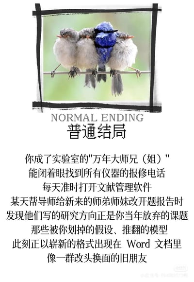 这是一张面向科研群体创作的趣味梗图，以“普通结局”为主题。画面上方是一张带有黑色边框的鸟类摄影图，一只蓝色小鸟被三只灰色小鸟簇拥着站在电线上，象征着实验室里“万年大师兄（姐）”在群体中的位置；下方用写实又略带无奈的文字，描绘了资深实验室研究生的日常：熟悉所有仪器报修电话、每日打开文献管理软件，在帮师弟师妹修改开题报告时，看到自己当年放弃的课题以新形式重现的复杂感慨，精准戳中科研人的真实生活与情感共鸣，用幽默的方式展现科研圈的一种“普通”人生轨迹。