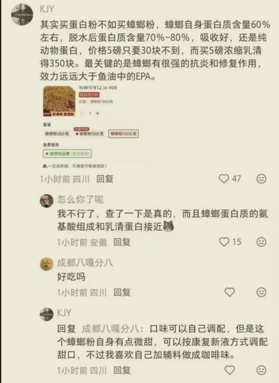 社交媒体截图内容显示用户KJY发文称蟑螂粉是比蛋白粉更优的选择，称其蛋白质含量高（脱水后70%-80%）、价格低廉（5磅不到30元）、吸收好且有抗炎修复作用。文中附带有蟑螂粉产品截图（显示11.11热卖、已售1000克等信息）。下方有其他用户回复，“怎么你了呢”表示查证后属实且氨基酸组成接近乳清蛋白，“成都八嘎分八”询问口味，KJY回复可调配口味，自身喜欢加辅料做成咖啡味。整体为一场关于奇葩蛋白质来源的网络讨论。