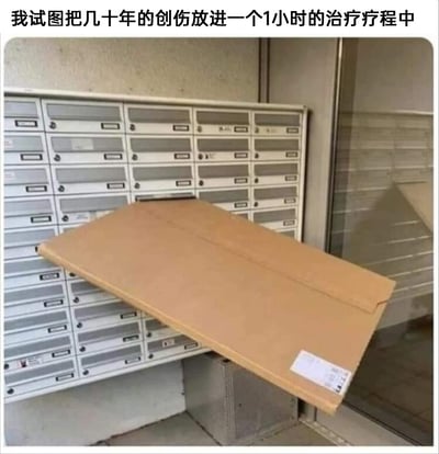 图片上方配有文字“我试图把几十年的创伤放进一个1小时的治疗疗程中”，下方呈现的是一个尺寸远大于信箱格子的硬纸板信封被强行塞进信箱里，信封的绝大部分都暴露在信箱外，完全无法被容纳。这个现实场景和上方的文字形成了精准的隐喻，用信封塞不进信箱的直观画面，来比喻一个人几十年积累下来的心理创伤，根本不可能在短短1小时的心理咨询疗程中被彻底处理、消化，生动又贴切地表现出这种试图快速解决深层心理问题的不现实感和窘迫感，能引发有类似经历或感受人群的共鸣。