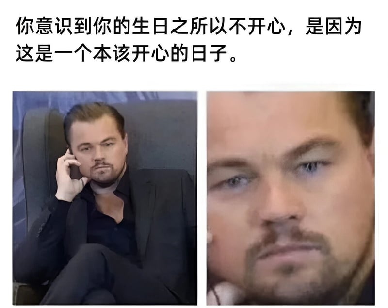 莱昂纳多·迪卡普里奥