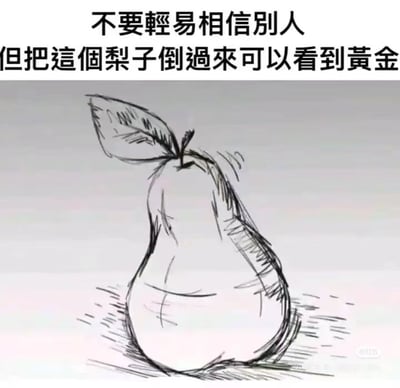 图片上方为黑色文字“不要轻易相信别人 但把这个梨子倒过来看可以看到黄金”，下方是一幅黑白手绘风格的梨子素描图。梨子整体呈梨形，顶部带有一片叶子，线条简洁。图片通过文字引导观众将梨子倒过来看，形成一种视觉上的趣味暗示，属于利用视角变化制造的幽默内容。