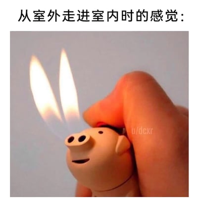 这是一张贴合生活场景的搞笑梗图，上方配文“从室外走进室内时的感觉”，图中展示了一只被手按压的小猪造型打火机，打火机的火焰从猪的两个鼻孔中喷出，形象地调侃了人们在寒冷的室外停留后，进入温暖室内时，鼻子呼出的热气仿佛“喷火”的有趣体验，用创意物品的趣味效果来还原生活中的温差感受，十分生动搞笑。