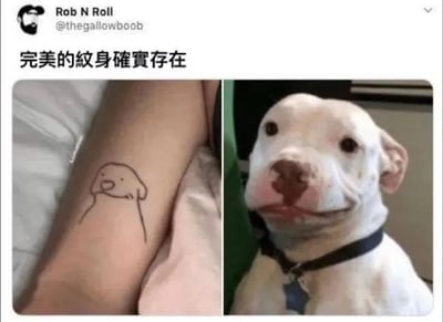 图片左侧为某人手臂上的简笔画狗狗纹身，线条简单勾勒出小狗的脸部轮廓；右侧是一只真实的白色狗狗照片，其鼻子上的棕色斑块和面部表情与左侧纹身图案几乎完美重合。两张图片通过左右对比，直观展现了纹身与现实狗狗的惊人相似度，配合上方文字“完美的纹身確實存在”，形成幽默又温馨的巧合效果。