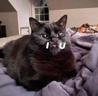 一只黑色猫咪躺在床上，眼睛瞪得很大，表情看起来非常惊讶。猫咪的嘴巴位置被添加了白色的"IU"字母，形成了有趣的视觉效果。背景中可以看到房间的窗户和部分家具，整体氛围轻松搞笑。