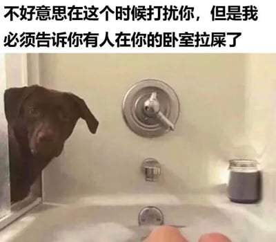 图片中一只棕色狗狗从浴室的浴帘后探出头偷看，下方可见有人正坐在浴缸里。图片顶部配有文字：'不好意思在这个时候打扰你，但是我必须告诉你有人在你的卧室拉屎了'。通过狗狗无辜的偷看姿态与突如其来的离谱通知形成反差萌，营造出幽默搞笑的效果。