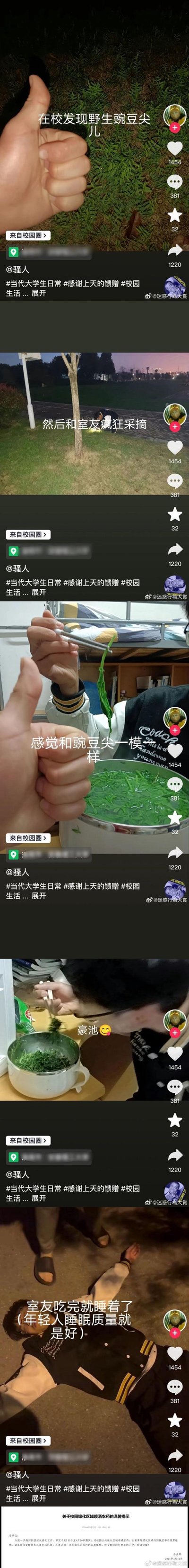 多张社交媒体截图拼接而成的竖屏内容，展示大学生做饭失败的搞笑场景。包含用户在学校发现野生菌菇、烹饪后成品诡异的图片，配文如“在学校发现野生菌菇”“感觉我快中毒了”“室友说这像蛊”“室友吃了说像极了（年轻人版）黑暗料理”等，整体风格幽默，充满生活气息，引发共鸣。